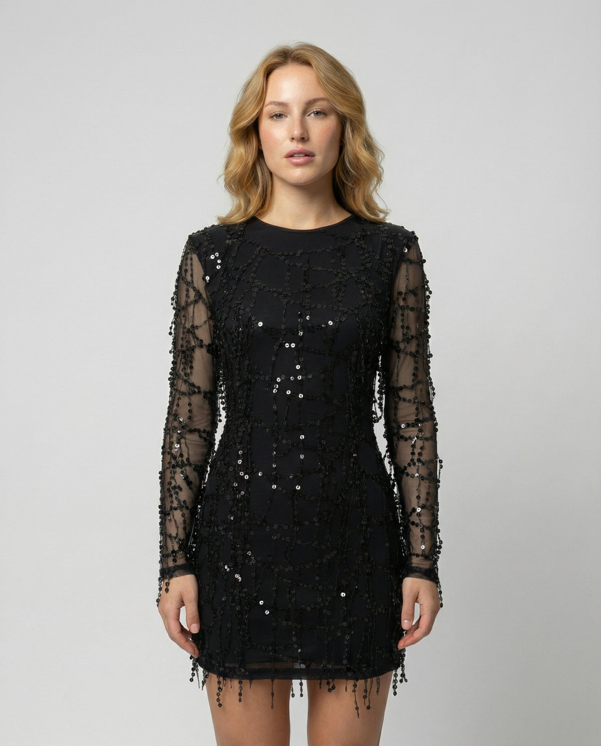 Elegant Fringe Sequin Dress Women | Samantha Style